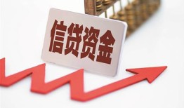 东莞应急私人私人借贷-东莞应急个人借贷不查征信-东莞应急空借空放