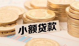 东莞应急身份证贷款平台-东莞应急私人借贷不查征信-东莞应急空放借钱
