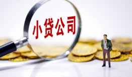 东莞应急民间大额借贷-东莞应急私借空放-东莞应急私人上门借贷